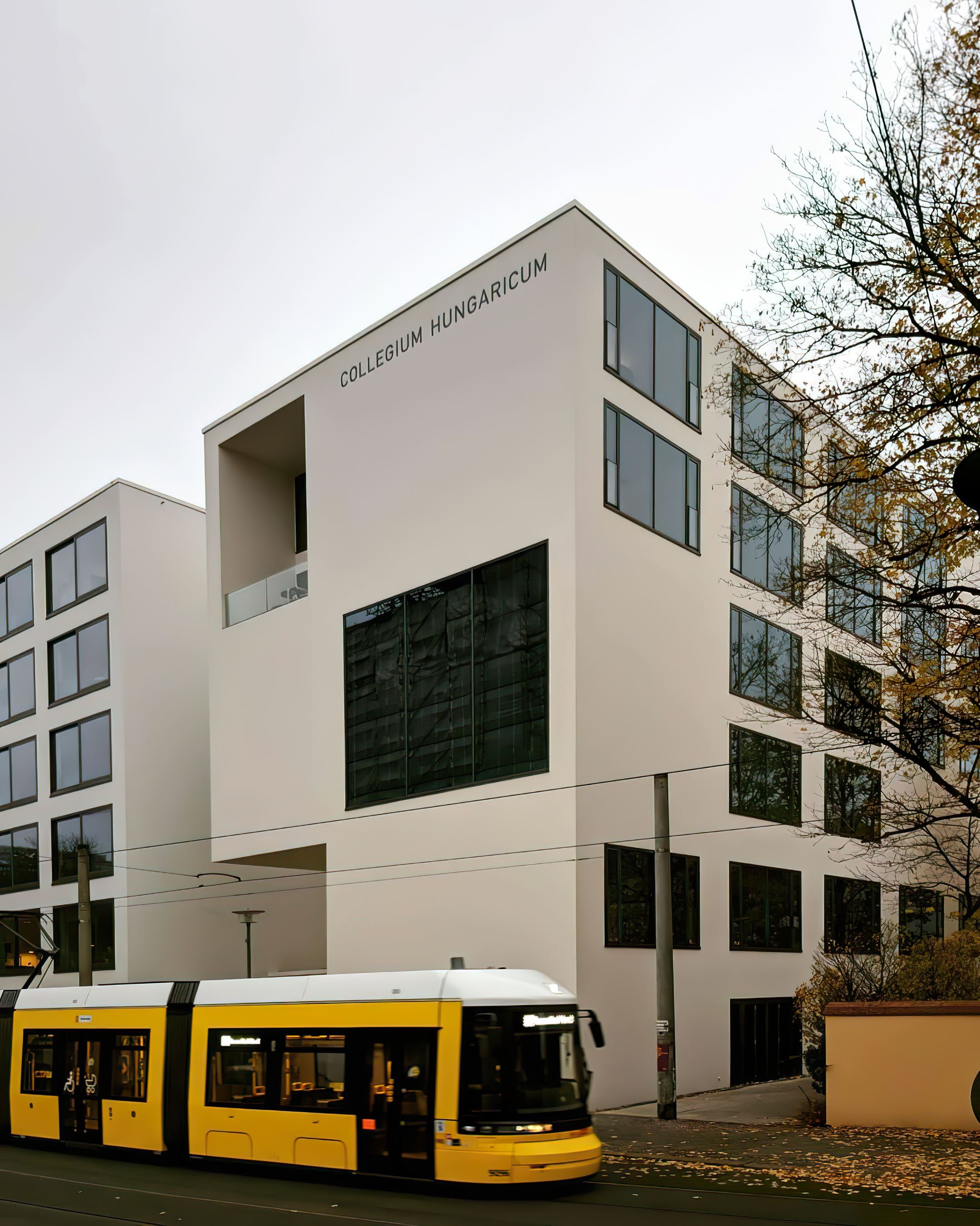 Mihai Moga Berlin 5